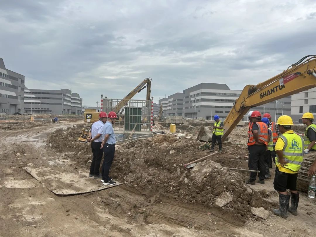 1693813917372956.jpg 6.jpg