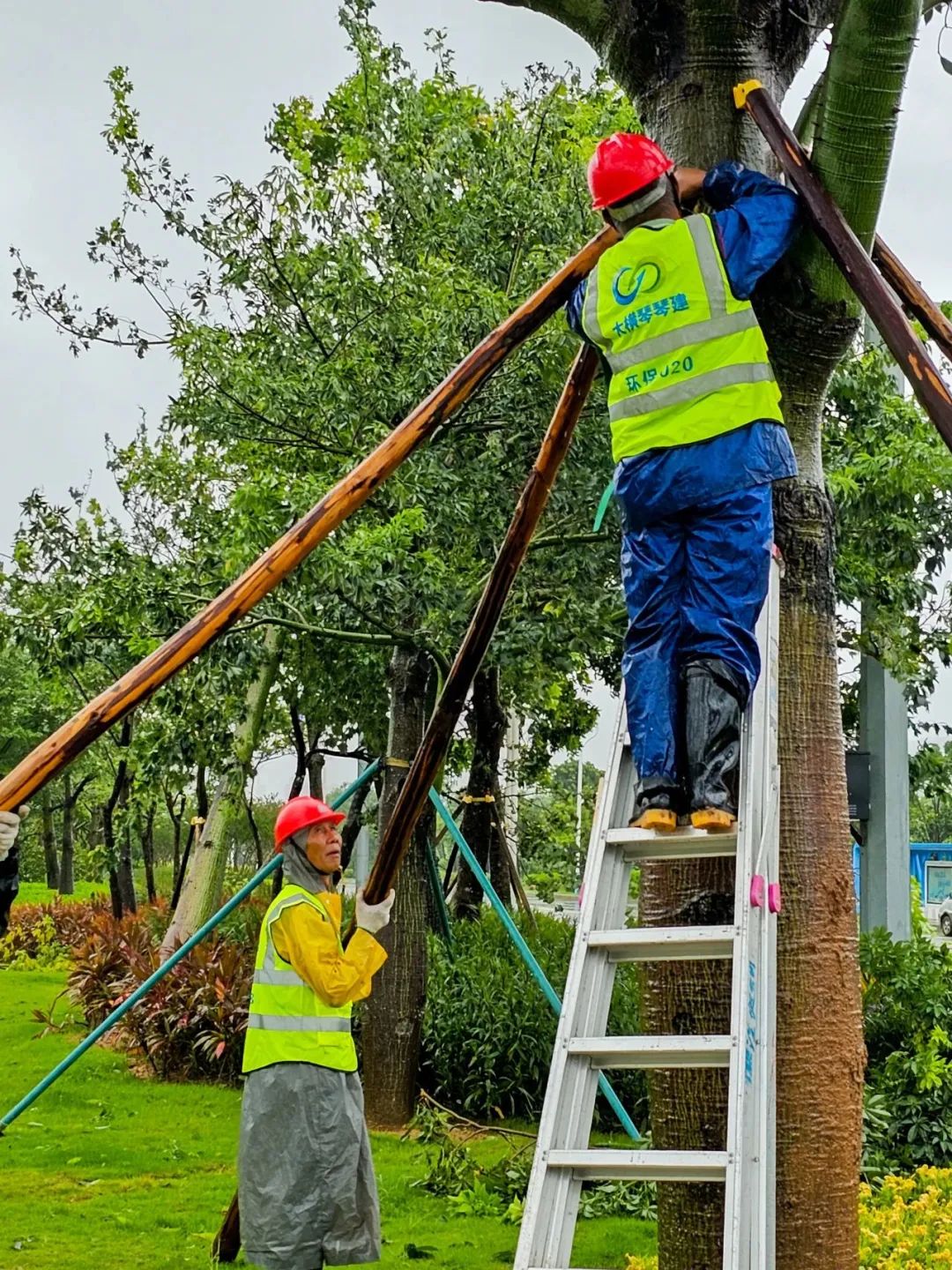 1693876465455685.jpg 1.jpg