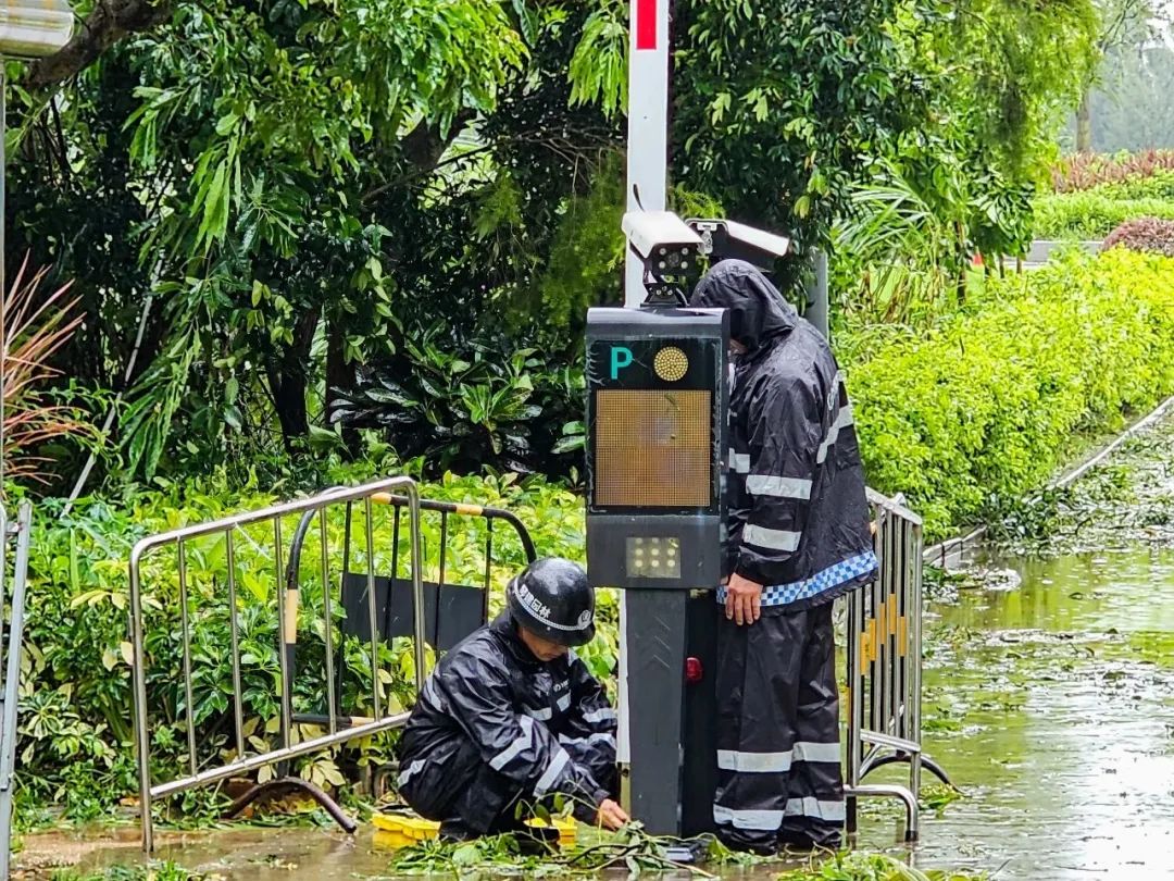 1693876649815432.jpg 10.jpg