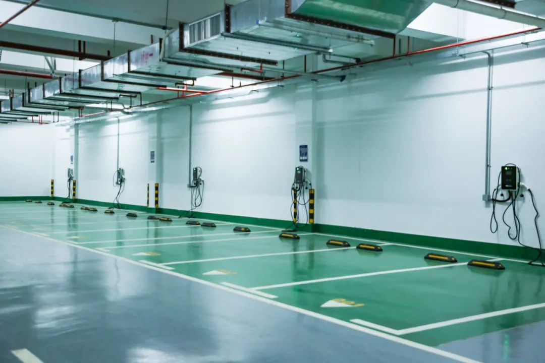 1694663000858573.jpg 10.jpg