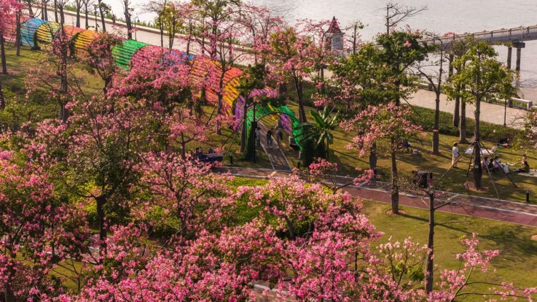 1735868800822580.jpg 9.jpg