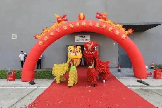 1739261621523193.jpg 31.jpg