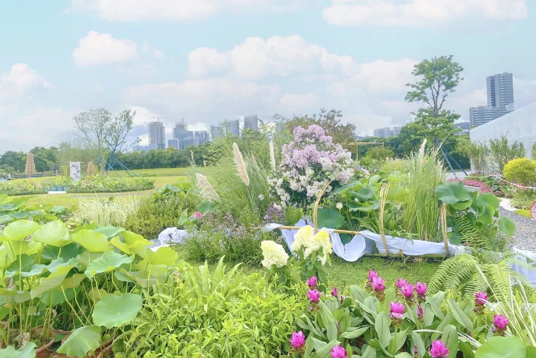 1752480655130198.jpg 8.jpg